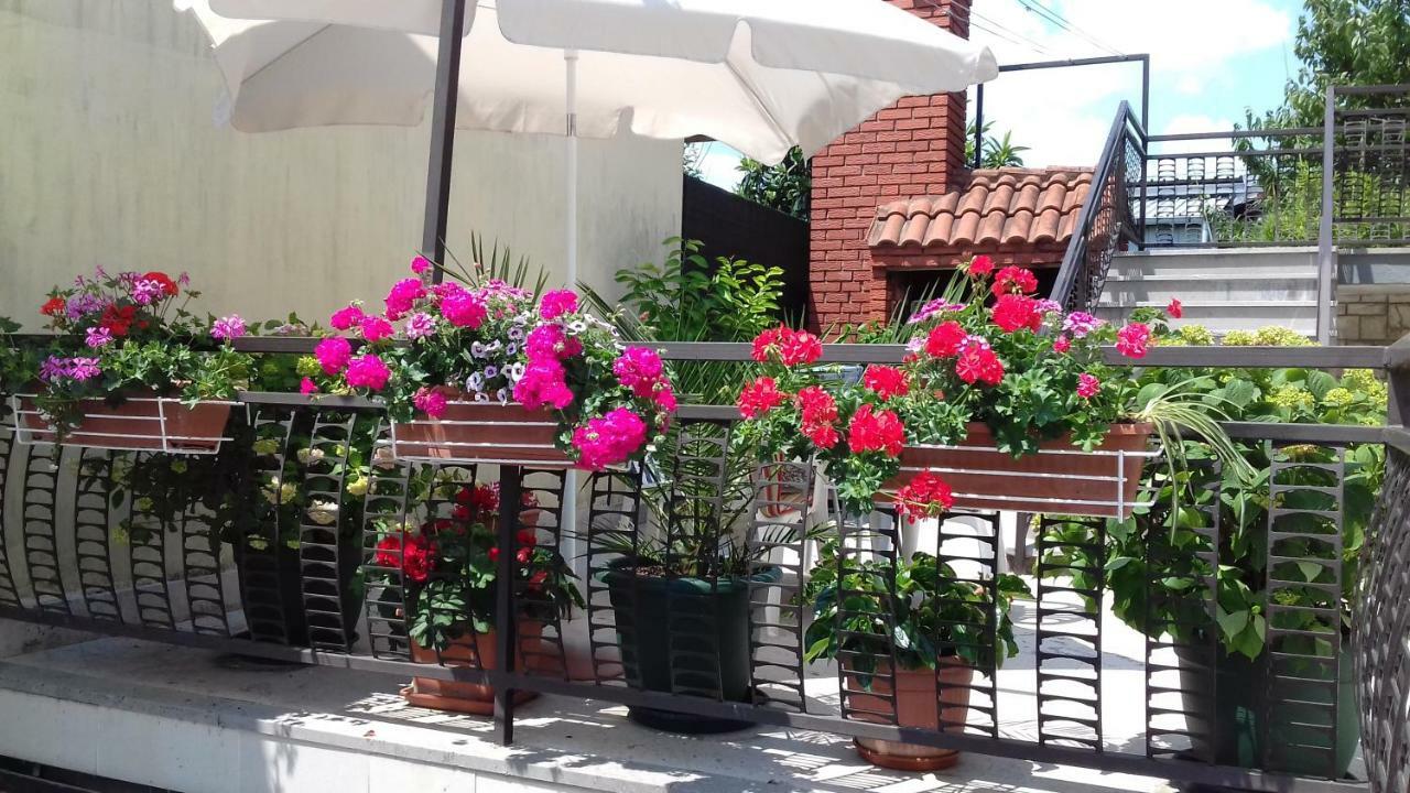 Apartman & Soba Skarica マトゥリ エクステリア 写真